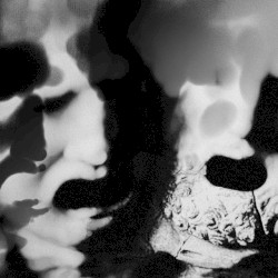 The Distance Between Us