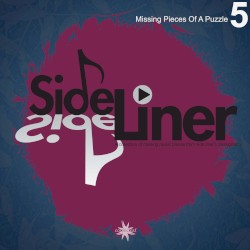 Missing Pieces Of A Puzzle, Vol. 5