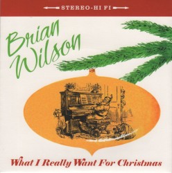 What I Really Want for Christmas