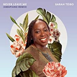 Never Leave Me (remix)