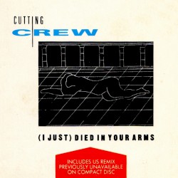 (I Just) Died in Your Arms