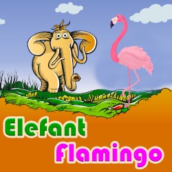 Elefant Flamingo