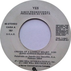 Owner of a Lonely Heart