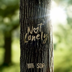 Not Lonely
