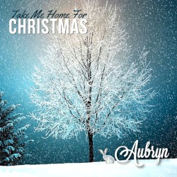 Take Me Home for Christmas