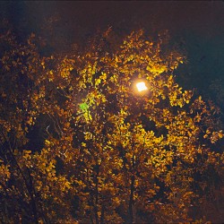 поздней ночью