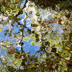 Built on Others Blues