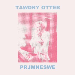 PRJMNESWE