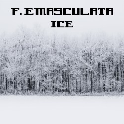 Ice