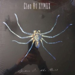 Spider on the Wall