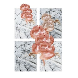 Winter Greetings (Yukinobu Watanabe Remix)