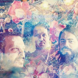 Beija Flors Velho E Sujo