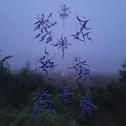 2022: the Morningseeds can’t help but Blush into thick verdures of Anguish.