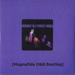Midnight in a Perfect World (Magnafide D&B Bootleg)