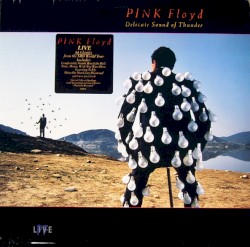 Delicate Sound of Thunder