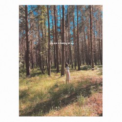 The Sun Is Looking at Me