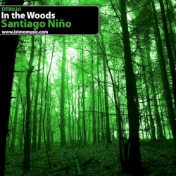 In The Woods / Copacabana