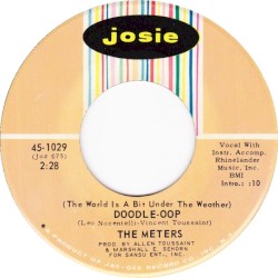 (The World Is a Little Bit Under the Weather) Doodle-Oop / I Need More Time