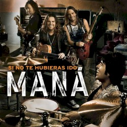 Si no te hubieras ido