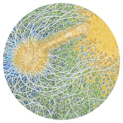 Feeling Is Structure
