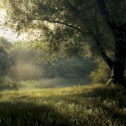 An hour for sleep 0009