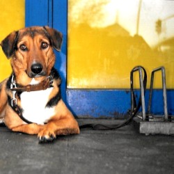 Nimm mich nie beim Wort