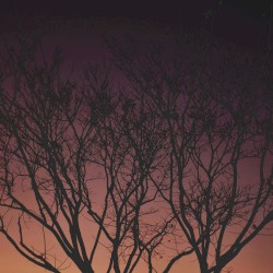 All The Seconds In Our Hours