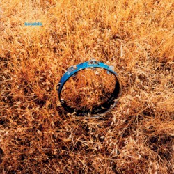 Out My Window (Instrumentals + Bonus Beats)