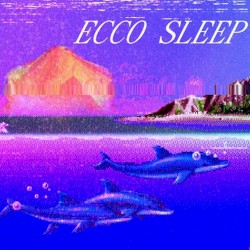 ECCO SLEEP