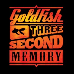 Three Second Memory