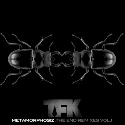 Metamorphosiz: The End Remixes, Vol. 1