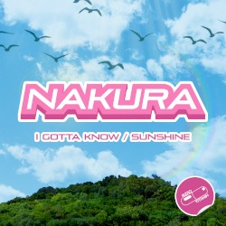 I Gotta Know / Sunshine