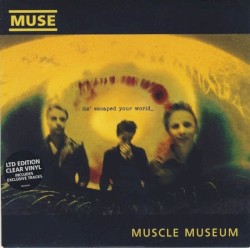 Muscle Museum