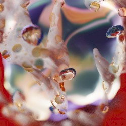 Sapphic Streets & Marzipan Eats