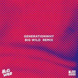 Generationwhy (Big Wild remix)