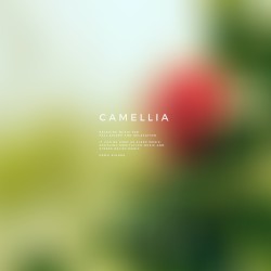 Camellia