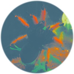 Prune (rave edit)