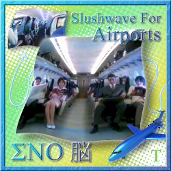 Slushwave For Airports