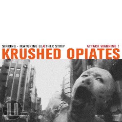 Sinking - Featuring Leæther Strip