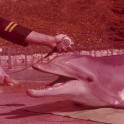 The Hi-Lonesome Conifers / Asparatus Court Garden Loop