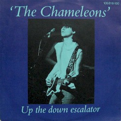 Up the Down Escalator