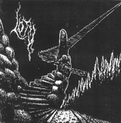 The Path to the Black Infinity