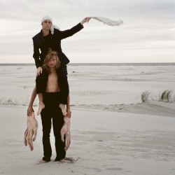 The Wings Of The Fly