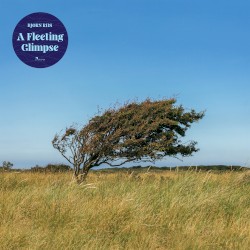 A Fleeting Glimpse