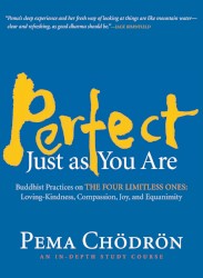 Perfect Just as You Are