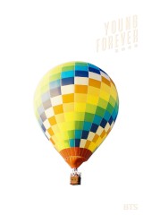 화양연화 Young Forever