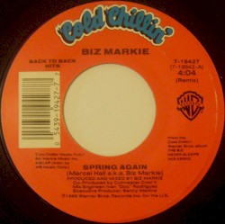 Just A Friend / Spring Again (Remix)