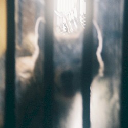 にほひがそこに