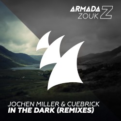 In the Dark (Remixes)