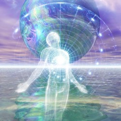 | internal systems |